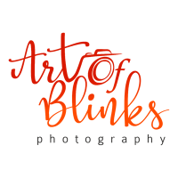 ART OF BLINKS ART OF BLINKS